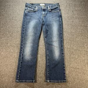 American Eagle Outfitters Blue Straight Leg Jeans